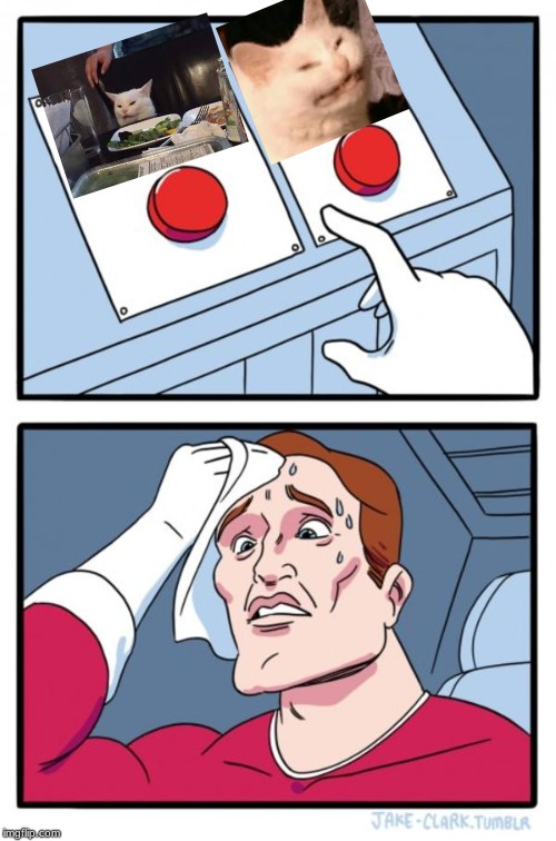 Two Buttons | image tagged in memes,two buttons | made w/ Imgflip meme maker