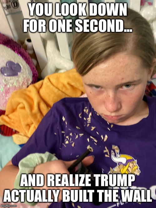 Spills pencil shavings | YOU LOOK DOWN FOR ONE SECOND... AND REALIZE TRUMP ACTUALLY BUILT THE WALL | image tagged in political meme | made w/ Imgflip meme maker