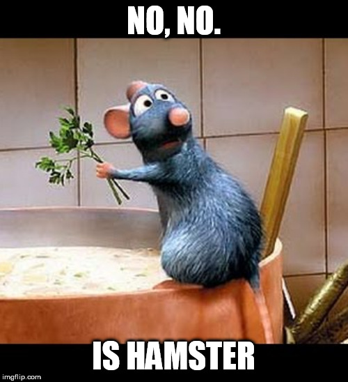 Ratatouille | NO, NO. IS HAMSTER | image tagged in ratatouille,siberian hamster,fawlty | made w/ Imgflip meme maker