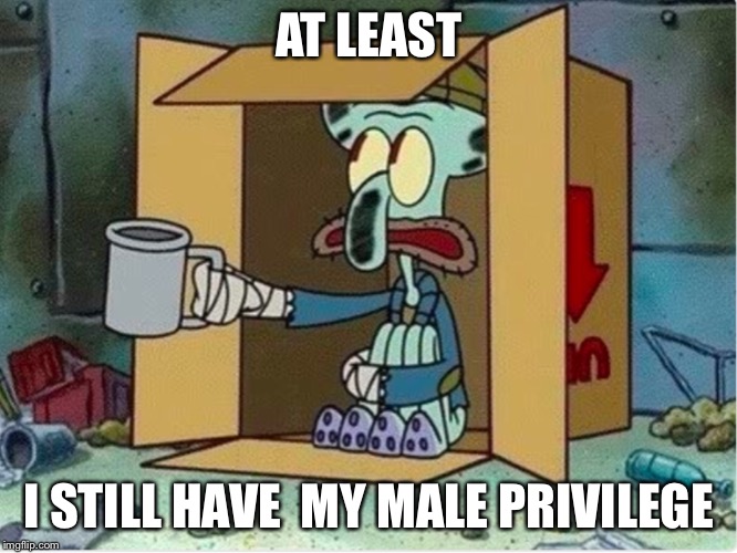 Who gonna tell him | AT LEAST; I STILL HAVE  MY MALE PRIVILEGE | image tagged in funny memes,feminism,political humor,dank memes,girl power,squidward | made w/ Imgflip meme maker