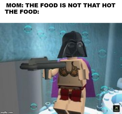 Lego Star Wars Custom Character | MOM: THE FOOD IS NOT THAT HOT
THE FOOD: | image tagged in lego star wars custom character | made w/ Imgflip meme maker