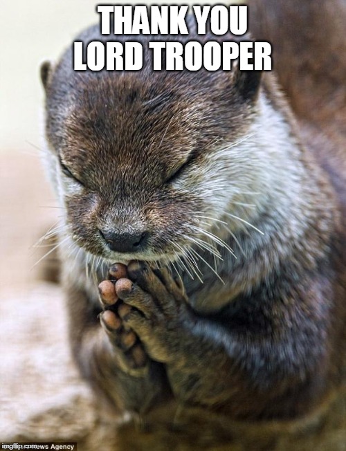 Thank you Lord Otter | THANK YOU LORD TROOPER | image tagged in thank you lord otter | made w/ Imgflip meme maker