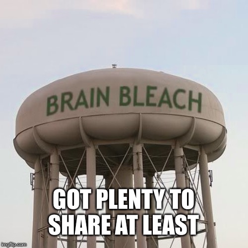 GOT PLENTY TO SHARE AT LEAST | image tagged in brain bleach tower | made w/ Imgflip meme maker