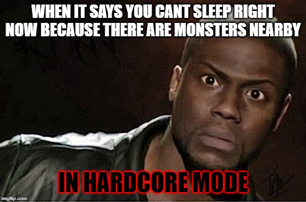 Kevin Hart | WHEN IT SAYS YOU CANT SLEEP RIGHT NOW BECAUSE THERE ARE MONSTERS NEARBY; IN HARDCORE MODE | image tagged in memes,kevin hart | made w/ Imgflip meme maker
