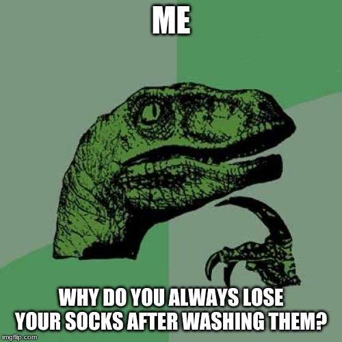 Philosoraptor | ME; WHY DO YOU ALWAYS LOSE YOUR SOCKS AFTER WASHING THEM? | image tagged in memes,philosoraptor | made w/ Imgflip meme maker