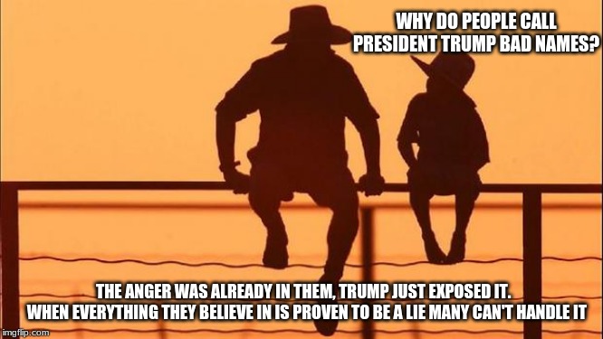 Cowboy wisdom.  Explaining TDS to a child | WHY DO PEOPLE CALL PRESIDENT TRUMP BAD NAMES? THE ANGER WAS ALREADY IN THEM, TRUMP JUST EXPOSED IT. 
 WHEN EVERYTHING THEY BELIEVE IN IS PROVEN TO BE A LIE MANY CAN'T HANDLE IT | image tagged in cowboy father and son,cowboy wisdom,trump derangement syndrome,maga,trump 2020 | made w/ Imgflip meme maker