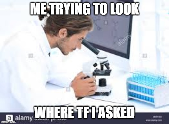 ME TRYING TO LOOK; WHERE TF I ASKED | image tagged in memes | made w/ Imgflip meme maker