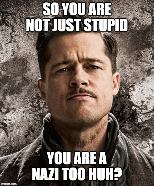 SO YOU ARE NOT JUST STUPID YOU ARE A NAZI TOO HUH? | made w/ Imgflip meme maker