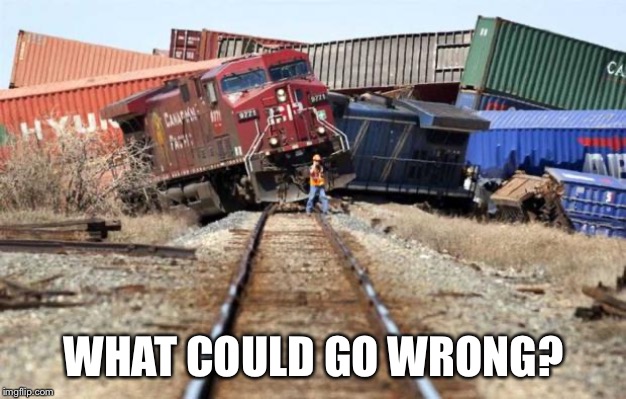 train wreck | WHAT COULD GO WRONG? | image tagged in train wreck | made w/ Imgflip meme maker