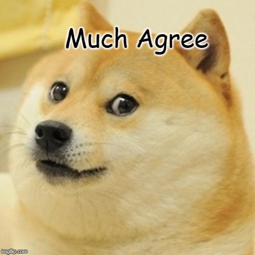 Much Agree | image tagged in memes,doge | made w/ Imgflip meme maker