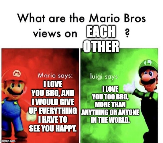 Mario Bros Views | EACH OTHER; I LOVE YOU TOO BRO, MORE THAN ANYTHING OR ANYONE IN THE WORLD. I LOVE YOU BRO, AND I WOULD GIVE UP EVERYTHING I HAVE TO SEE YOU HAPPY. | image tagged in mario bros views | made w/ Imgflip meme maker