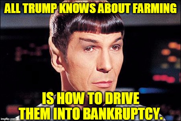 Condescending Spock | ALL TRUMP KNOWS ABOUT FARMING IS HOW TO DRIVE THEM INTO BANKRUPTCY. | image tagged in condescending spock | made w/ Imgflip meme maker