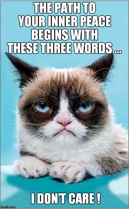 Grumpys Zen Like Mantra | THE PATH TO YOUR INNER PEACE BEGINS WITH THESE THREE WORDS …; I DON’T CARE ! | image tagged in fun,grumpy cat,zen | made w/ Imgflip meme maker