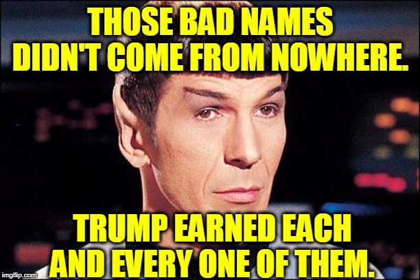 Condescending Spock | THOSE BAD NAMES DIDN'T COME FROM NOWHERE. TRUMP EARNED EACH AND EVERY ONE OF THEM. | image tagged in condescending spock | made w/ Imgflip meme maker