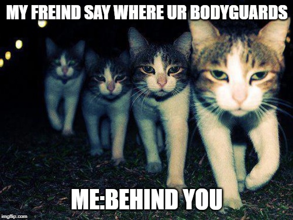 Wrong Neighboorhood Cats | MY FREIND SAY WHERE UR BODYGUARDS; ME:BEHIND YOU | image tagged in memes,wrong neighboorhood cats | made w/ Imgflip meme maker