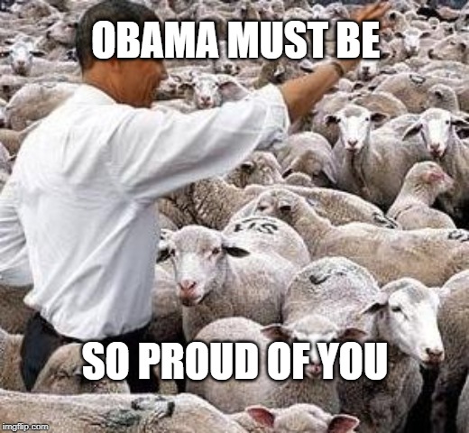obama sheep | OBAMA MUST BE; SO PROUD OF YOU | image tagged in obama sheep | made w/ Imgflip meme maker