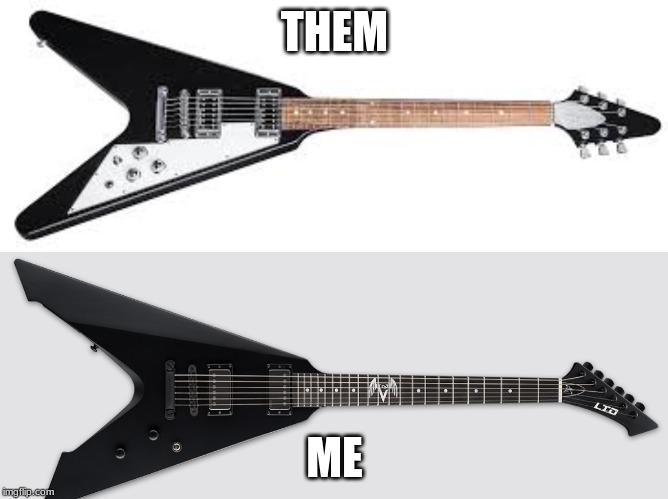 THEM; ME | image tagged in flying v | made w/ Imgflip meme maker