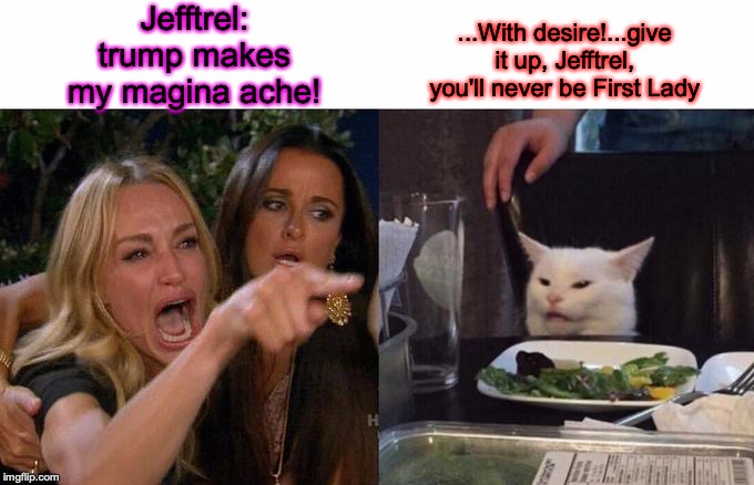 Woman Yelling At Cat Meme | Jefftrel:
trump makes my magina ache! ...With desire!...give it up, Jefftrel, you'll never be First Lady | image tagged in memes,woman yelling at cat | made w/ Imgflip meme maker