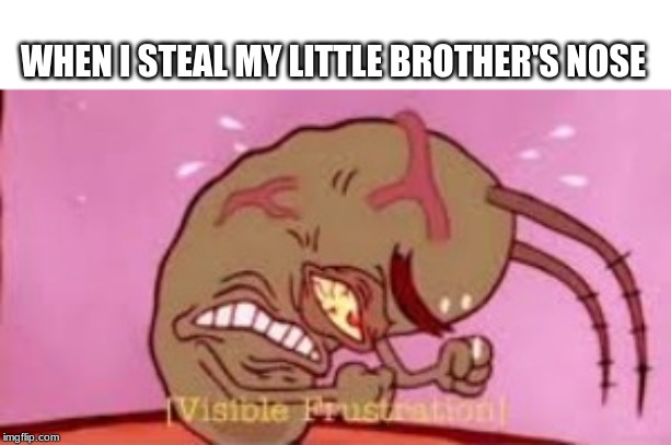 Visible Frustration | WHEN I STEAL MY LITTLE BROTHER'S NOSE | image tagged in visible frustration | made w/ Imgflip meme maker