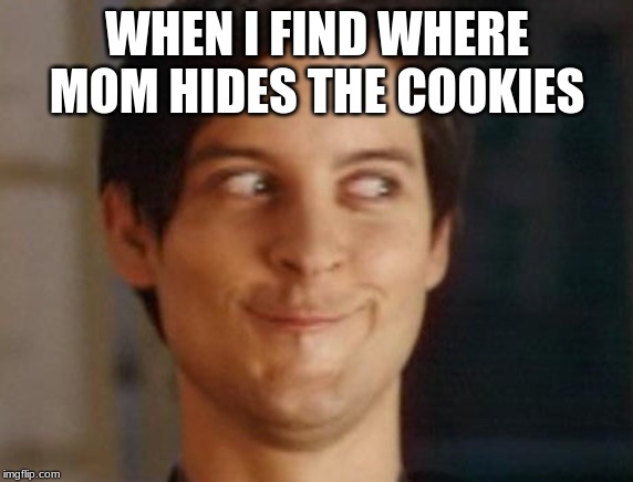 Spiderman Peter Parker | WHEN I FIND WHERE MOM HIDES THE COOKIES | image tagged in memes,spiderman peter parker | made w/ Imgflip meme maker