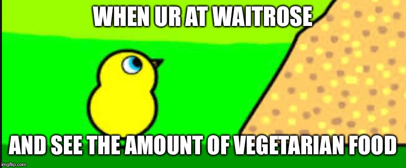 Duck Life be like Waitrose | WHEN UR AT WAITROSE; AND SEE THE AMOUNT OF VEGETARIAN FOOD | image tagged in duck life,waitrose,vegetarian,food | made w/ Imgflip meme maker