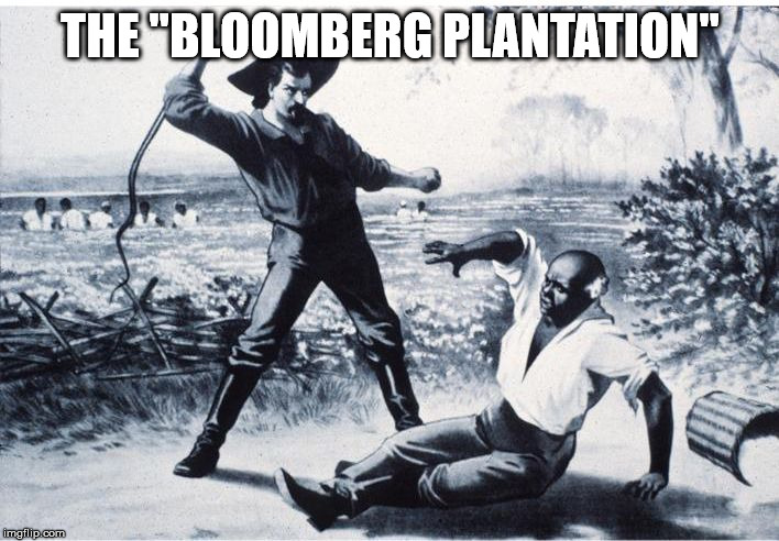 slave | THE "BLOOMBERG PLANTATION" | image tagged in slave | made w/ Imgflip meme maker