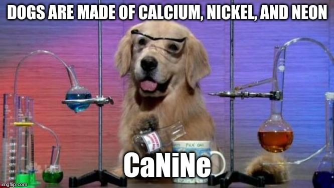 No wonder they seem a bit noble! | DOGS ARE MADE OF CALCIUM, NICKEL, AND NEON; CaNiNe | image tagged in memes,chemistry dog,dogs,periodic table,elements,wordplay | made w/ Imgflip meme maker