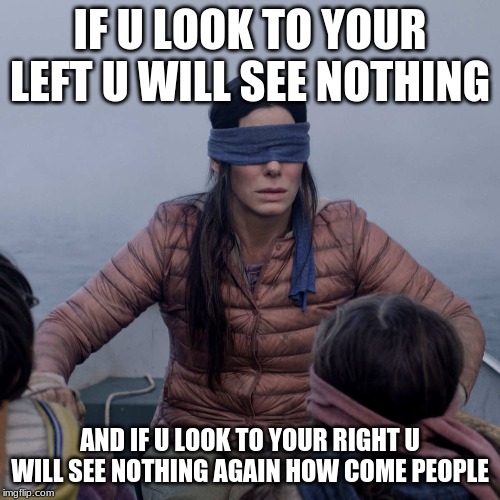 Bird Box Meme | IF U LOOK TO YOUR LEFT U WILL SEE NOTHING; AND IF U LOOK TO YOUR RIGHT U WILL SEE NOTHING AGAIN HOW COME PEOPLE | image tagged in memes,bird box | made w/ Imgflip meme maker