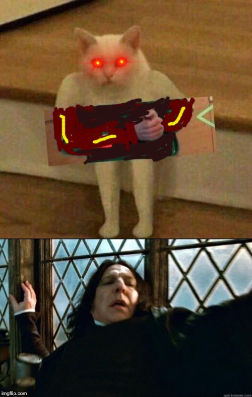 image tagged in snape,cat | made w/ Imgflip meme maker