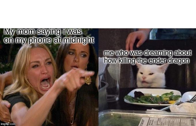 Woman Yelling At Cat Meme | My mom saying i was on my phone at midnight; me who was dreaming about how killing the ender dragon | image tagged in memes,woman yelling at cat | made w/ Imgflip meme maker