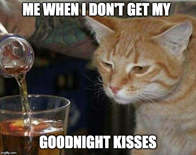 Alcohol cat | ME WHEN I DON'T GET MY; GOODNIGHT KISSES | image tagged in cats | made w/ Imgflip meme maker