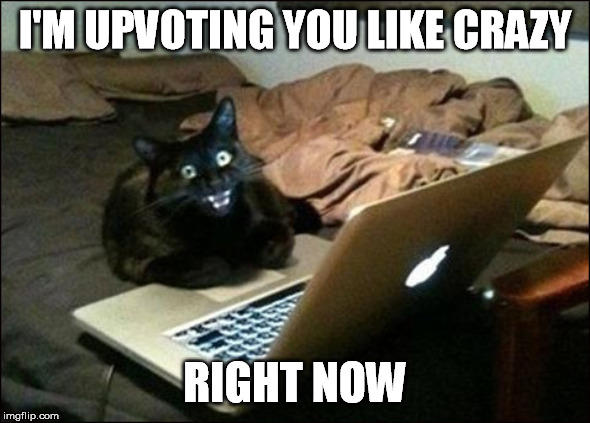 I'M UPVOTING YOU LIKE CRAZY RIGHT NOW | made w/ Imgflip meme maker