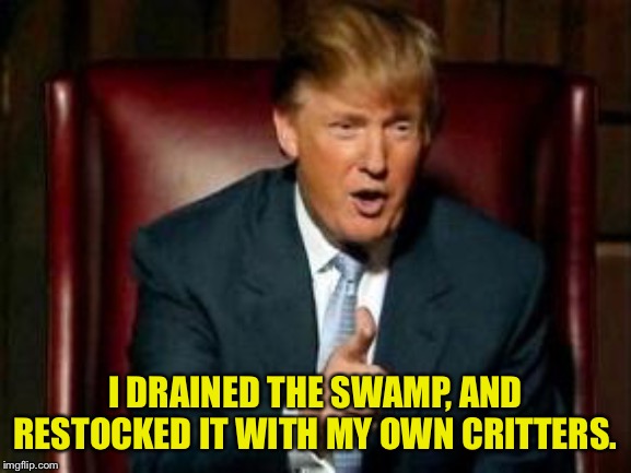 Donald Trump | I DRAINED THE SWAMP, AND RESTOCKED IT WITH MY OWN CRITTERS. | image tagged in donald trump | made w/ Imgflip meme maker