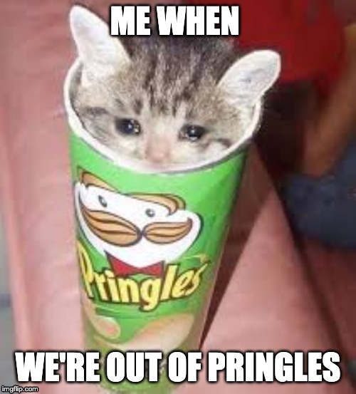 Pringle cat | ME WHEN; WE'RE OUT OF PRINGLES | image tagged in cats | made w/ Imgflip meme maker