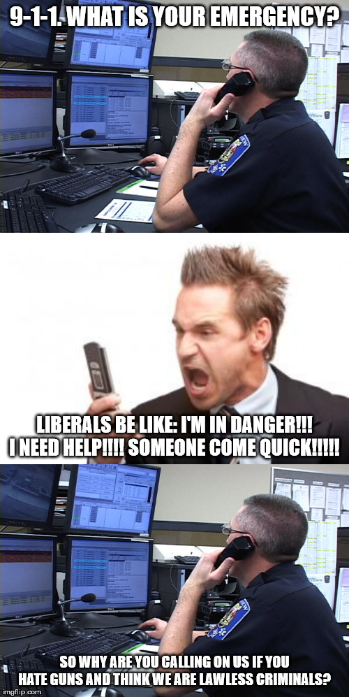 Who do they think they're going to call? Ghostbusters? | 9-1-1. WHAT IS YOUR EMERGENCY? LIBERALS BE LIKE: I'M IN DANGER!!! I NEED HELP!!!! SOMEONE COME QUICK!!!!! SO WHY ARE YOU CALLING ON US IF YOU HATE GUNS AND THINK WE ARE LAWLESS CRIMINALS? | image tagged in angry phone call,911 what is your emergency,stupid liberals,liberal hypocrisy,police,emergency | made w/ Imgflip meme maker