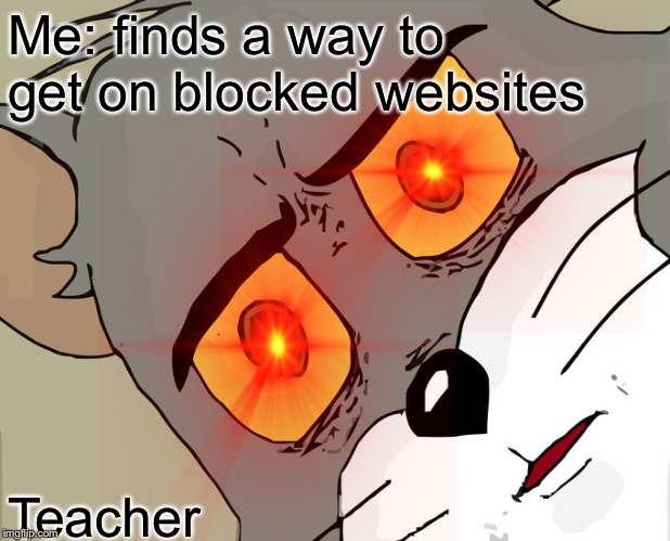 Me: finds a way to get on blocked websites; Teacher | image tagged in why | made w/ Imgflip meme maker