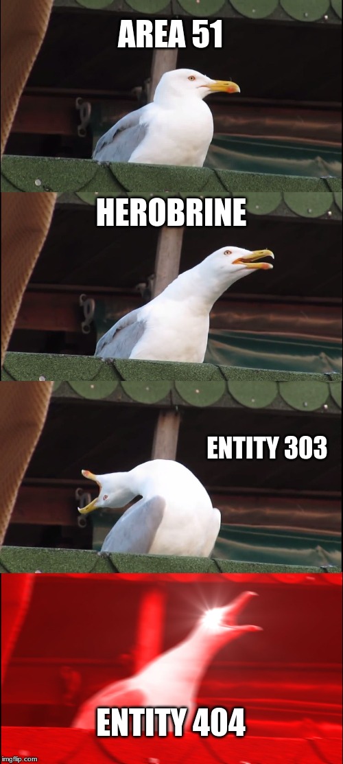 Inhaling Seagull | AREA 51; HEROBRINE; ENTITY 303; ENTITY 404 | image tagged in memes,inhaling seagull | made w/ Imgflip meme maker