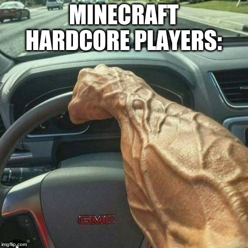 Muscle Arm Driver | MINECRAFT HARDCORE PLAYERS: | image tagged in muscle arm driver | made w/ Imgflip meme maker