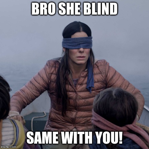 Bird Box Meme | BRO SHE BLIND; SAME WITH YOU! | image tagged in memes,bird box | made w/ Imgflip meme maker