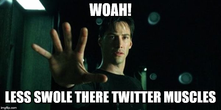 Matrix twitter muscles | WOAH! LESS SWOLE THERE TWITTER MUSCLES | image tagged in matrix | made w/ Imgflip meme maker