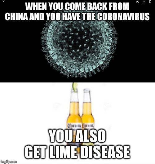 WHEN YOU COME BACK FROM CHINA AND YOU HAVE THE CORONAVIRUS; YOU ALSO GET LIME DISEASE | image tagged in funny | made w/ Imgflip meme maker