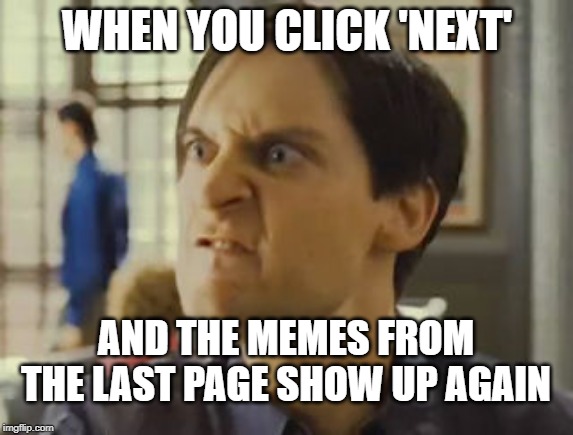 NEXT Damnit! | WHEN YOU CLICK 'NEXT'; AND THE MEMES FROM THE LAST PAGE SHOW UP AGAIN | image tagged in memes,internet,incorrect,stupid,online | made w/ Imgflip meme maker