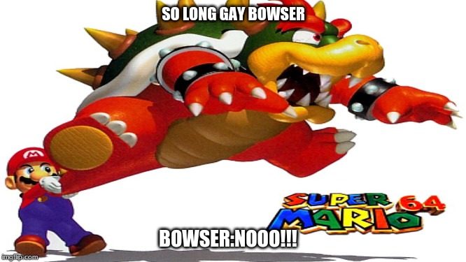 Mario swinging Bowser | SO LONG GAY BOWSER; BOWSER:NOOO!!! | image tagged in bowser,mario,super mario 64,memes | made w/ Imgflip meme maker