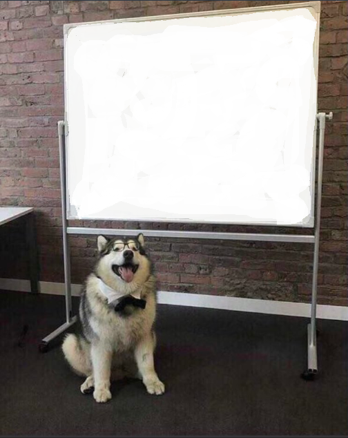 Dog White Board Blank Meme Template