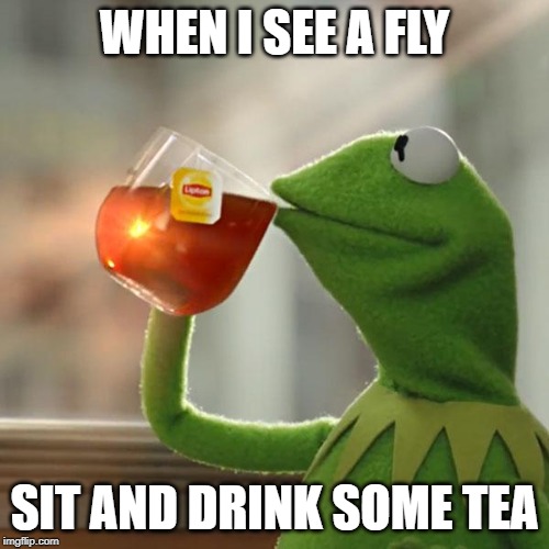 But That's None Of My Business | WHEN I SEE A FLY; SIT AND DRINK SOME TEA | image tagged in memes,but thats none of my business,kermit the frog | made w/ Imgflip meme maker