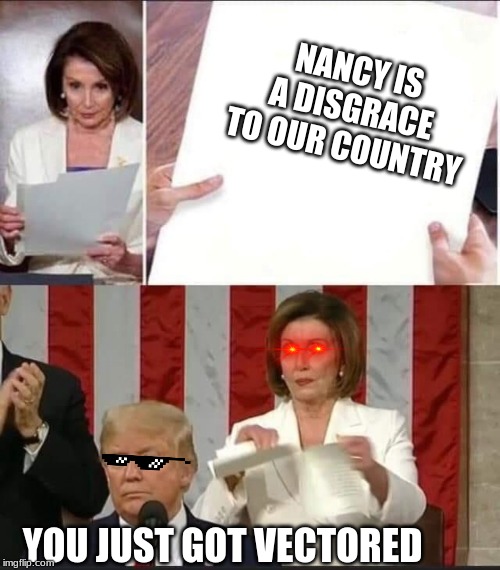 Nancy Pelosi tears speech | NANCY IS A DISGRACE TO OUR COUNTRY; YOU JUST GOT VECTORED | image tagged in nancy pelosi tears speech | made w/ Imgflip meme maker