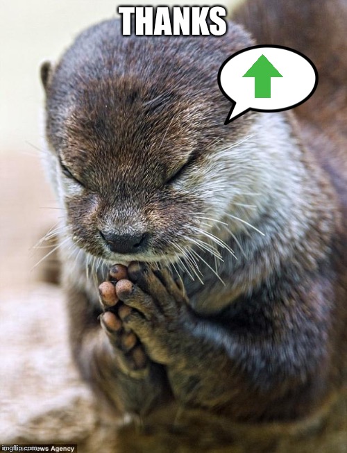 Thank you Lord Otter | THANKS | image tagged in thank you lord otter | made w/ Imgflip meme maker