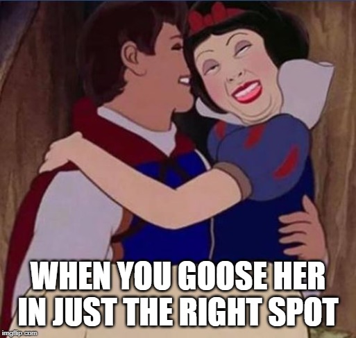 Oooooooooh | WHEN YOU GOOSE HER IN JUST THE RIGHT SPOT | image tagged in funny picture | made w/ Imgflip meme maker