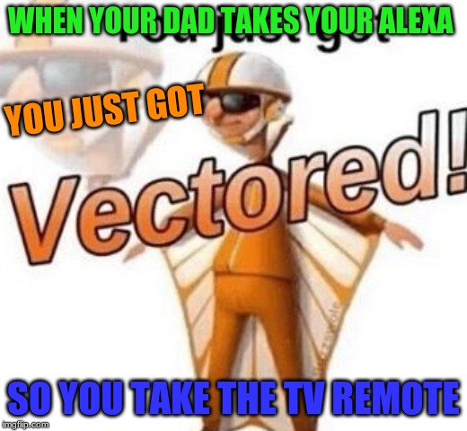 You just got vectored | WHEN YOUR DAD TAKES YOUR ALEXA; YOU JUST GOT; SO YOU TAKE THE TV REMOTE | image tagged in you just got vectored | made w/ Imgflip meme maker