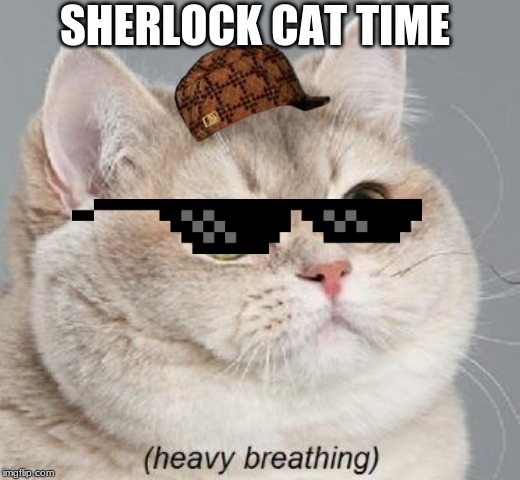 Heavy Breathing Cat Meme | SHERLOCK CAT TIME | image tagged in memes,heavy breathing cat | made w/ Imgflip meme maker